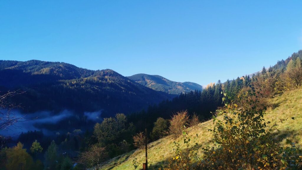 Mein Platz
